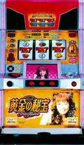 安西ひろこの黄金の秘宝Ｘの実機画像