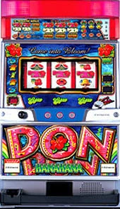 ドンドンハナハナ３０の実機画像