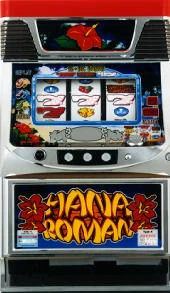 花浪漫３０の実機画像