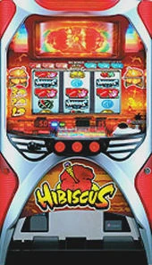 ハイビスカスの実機画像