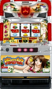 南国娘３０「２００６年」の実機画像