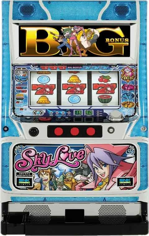 スカイラブ「２００７年」の実機画像