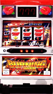 バーニングフラワー３０の実機画像