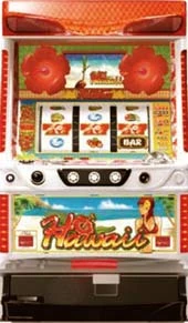 ハワイの実機画像