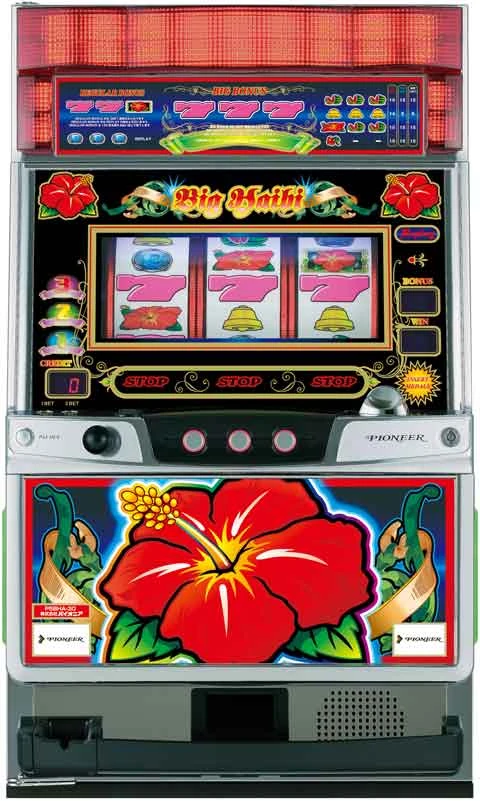 ビッグハイビ－３０の実機画像