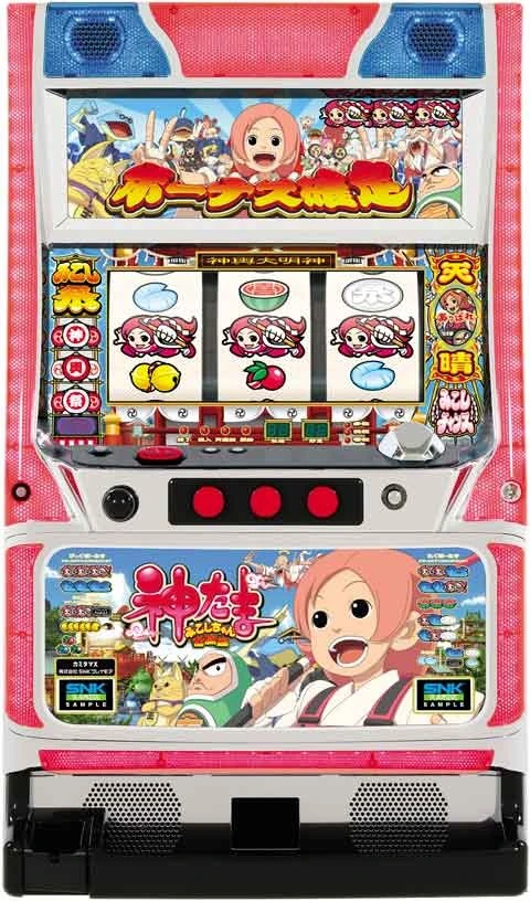 神たまの実機画像