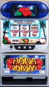 花浪漫Ｎ３０の実機画像