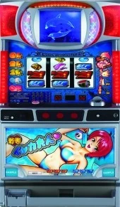 イルカ夫人の実機画像