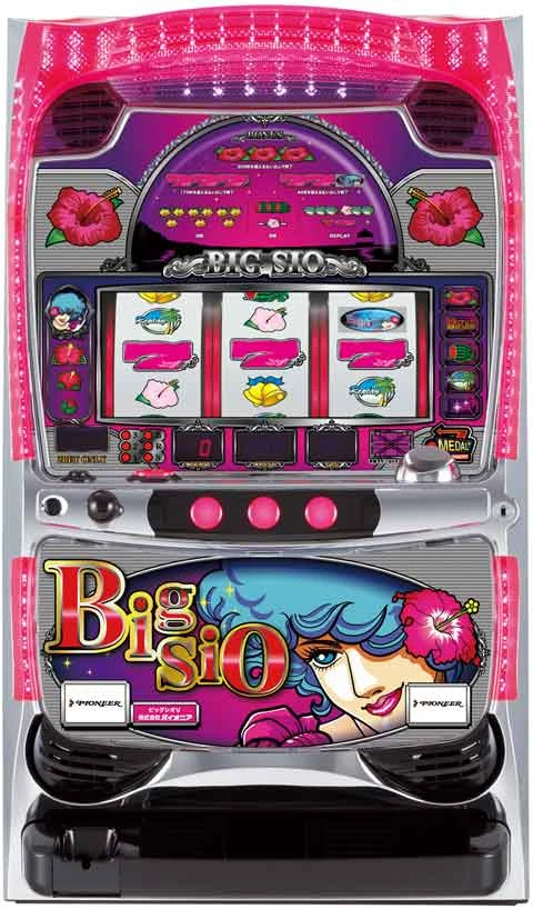 ビッグシオＶ「２０１０年」の実機画像