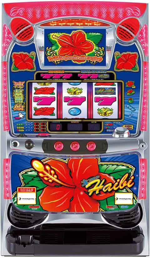 キングハイビ‐３０の実機画像