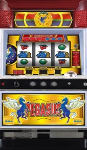 ペガサスＮＥＯの実機画像