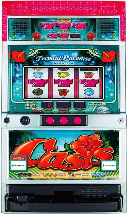 オアシスの実機画像