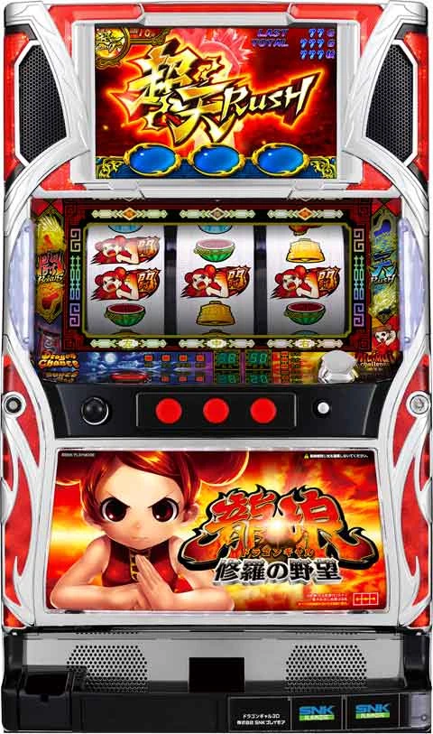 ドラゴンギャル～修羅の野望～の実機画像