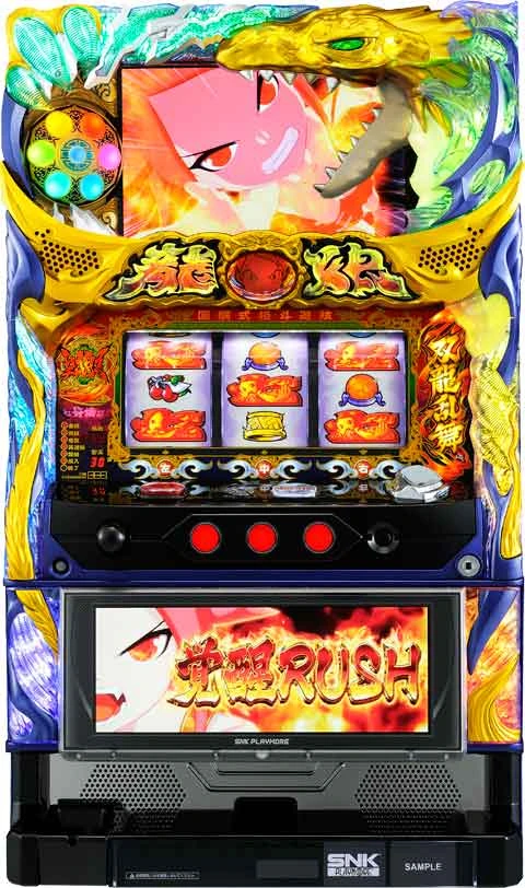 ドラゴンギャル～双龍の闘い～の実機画像