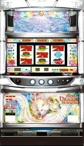ハイディングドラゴンＢの実機画像