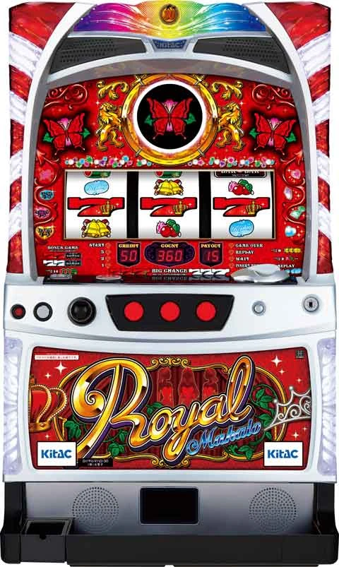 ロイヤルマハロ‐３０の実機画像