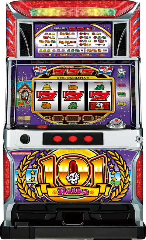 ハイカ１０１の実機画像