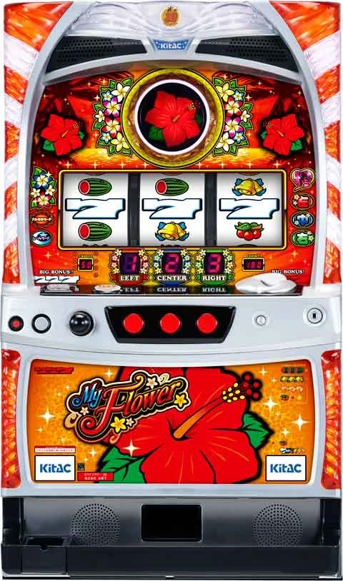 マイフラワー３０の実機画像
