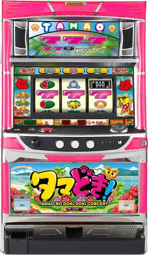 タマどき！の実機画像