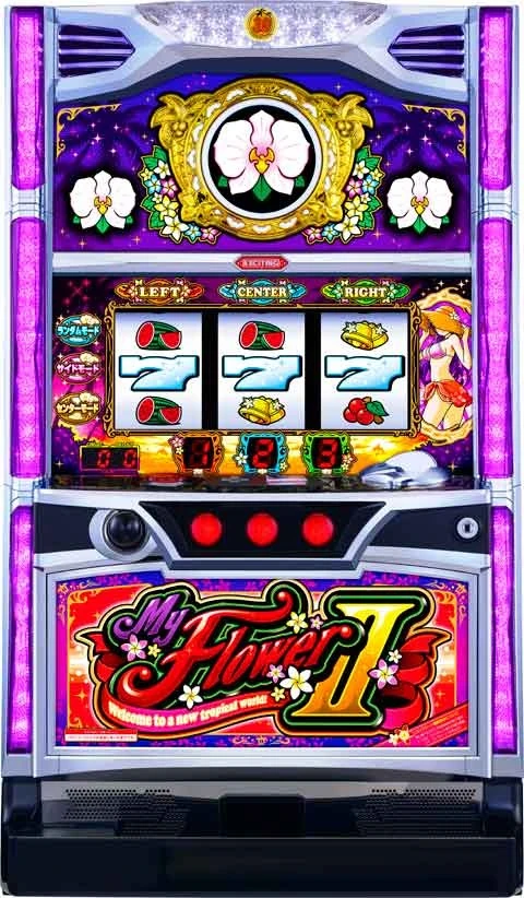 マイフラワー２‐３０の実機画像