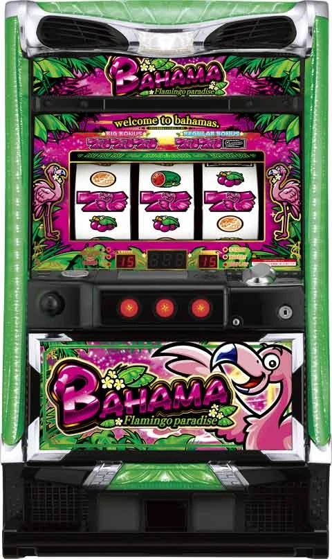 Ｓバハマ３０の実機画像