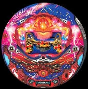 ＣＲ竜凰伝説２Ｘの実機画像