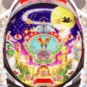 ミラクルカーペットＤＸの実機画像