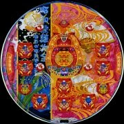 ＥＸチューリップ８の実機画像