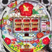 ＣＲ美夏美華 Ｌ２‐Ｋの実機画像