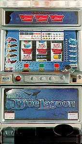 ブルーラグーン３０の実機画像
