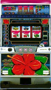 ハイビ３０「２００２年」の実機画像